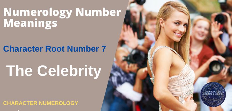 Numerology Number Meanings - Character Root Number 7